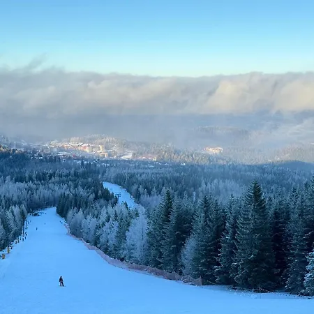 Domek alpejski Wolnostojacy Goralski - Blisko Szlakow I Aquaparku - Z Prywatna Sauna, Ogrodem *