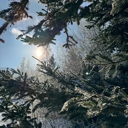 Wolnostojacy Goralski - Blisko Szlakow I Aquaparku - Z Prywatna Sauna, Ogrodem Karpacz