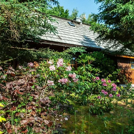 Domek alpejski Wolnostojacy Goralski - Blisko Szlakow I Aquaparku - Z Prywatna Sauna, Ogrodem *