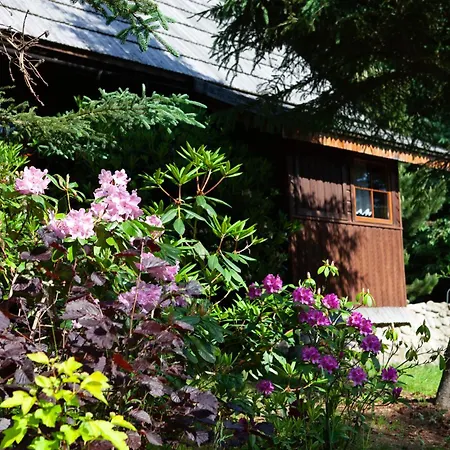 Domek Goralski Przyjazny Zwierzetom - Ogrodzony - Blisko Szlakow I Aquaparku - Z Prywatna Sauna, Ogrodem Chalet *