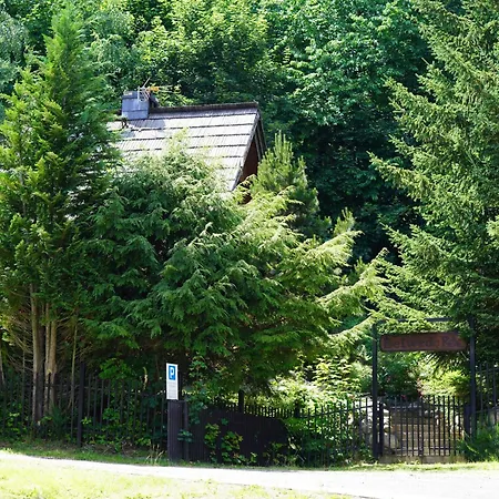 Chalet Drewniany Domek Ski-In Ski-Out Z Prywatna Sauna Belwederek *